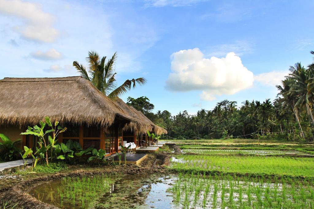 Sapulidi Resort Spa & Gallery Bali Убуд Экстерьер фото