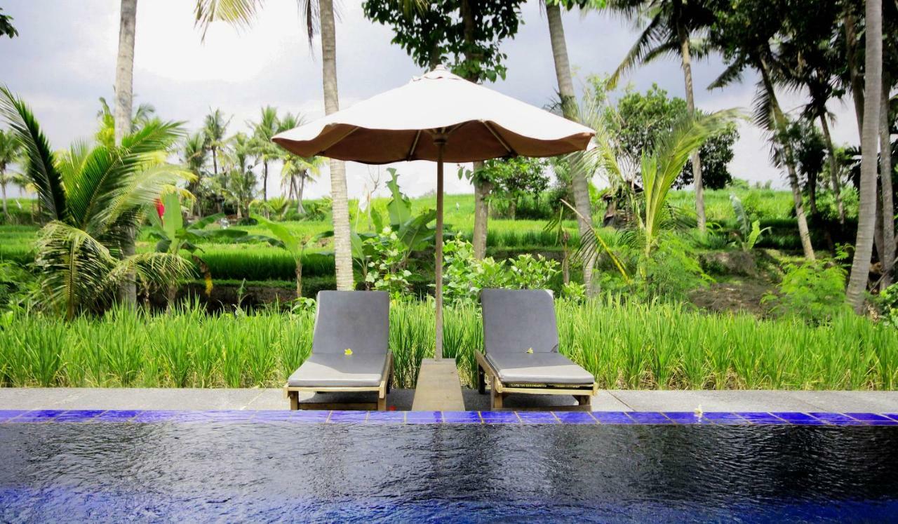 Sapulidi Resort Spa & Gallery Bali Убуд Экстерьер фото